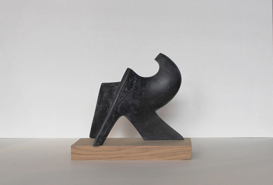 Robert Aberdein - Glancing Bird