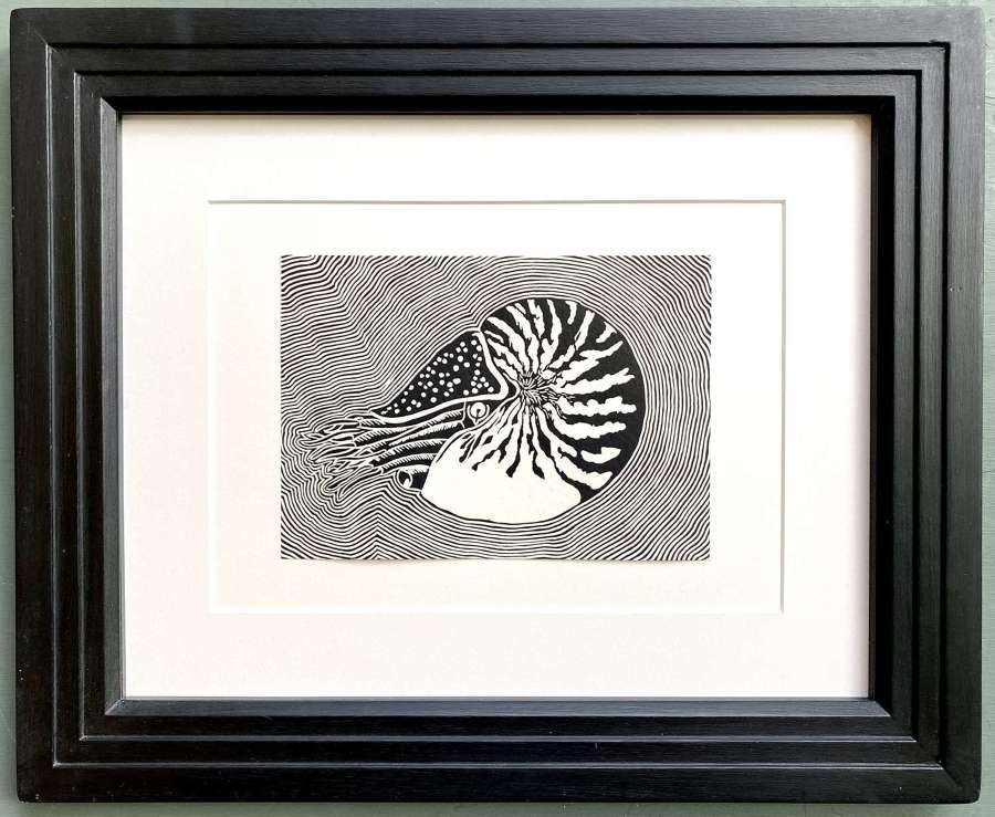 Nautilus - Guy Smart