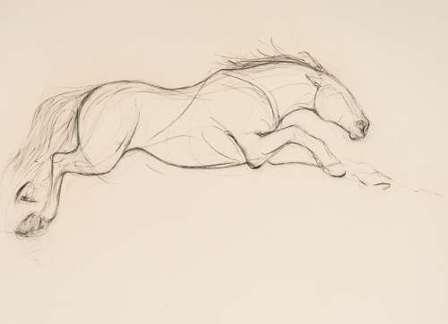 Forwards - Polly James