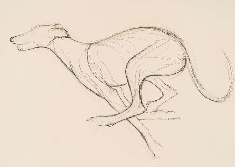 Greyhound II - Polly James