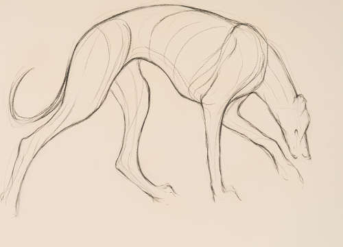 Greyhound I - Polly James