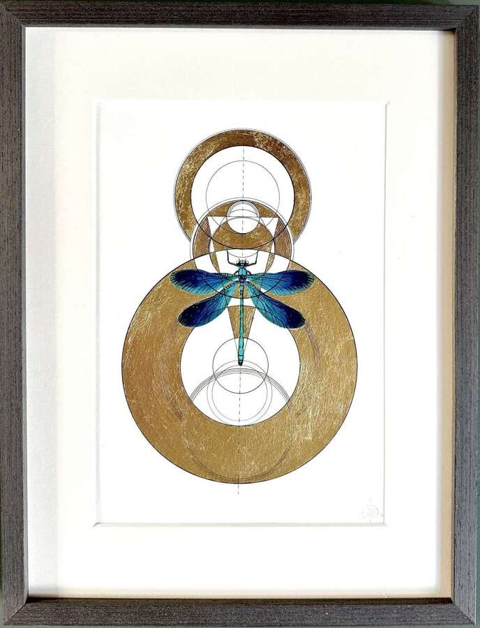 Dragonfly - Marco Araldi