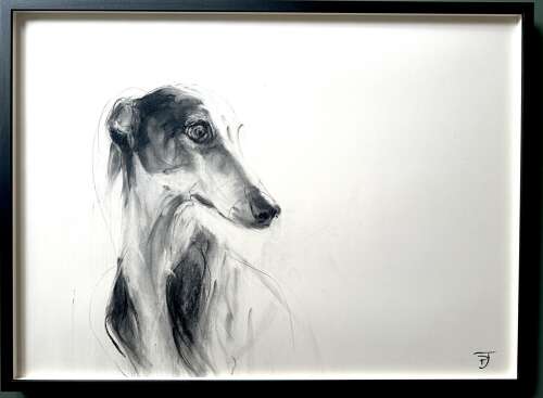 Whippet - Polly James